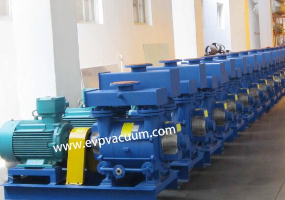 Vacuum pump for raw material industry