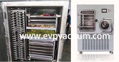 vacuum freeze-drying technology