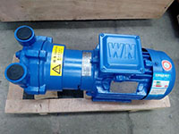 Liquid Ring Vacuum Pump Used in Autoclaves