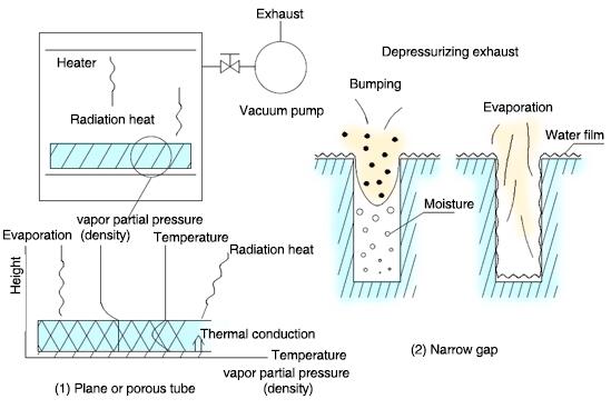 Principle of vacuum drying