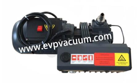 Rotary vane vacuum pump in degasser