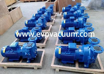 liquid ring vacuum pump used In Daily chemical industry in Asia