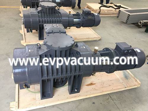 Roots vacuum pump exhaust filter element maintenance