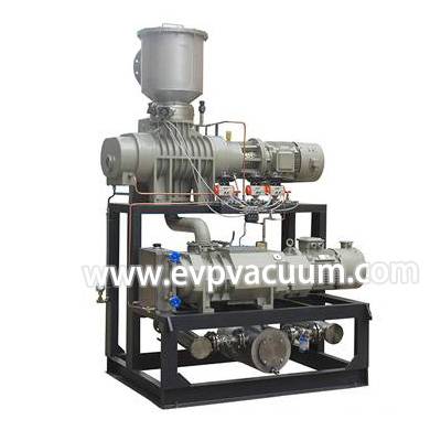 Dry screw vacuum pump + roots pump