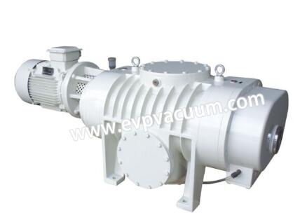 Roots vacuum pump of pump chamber