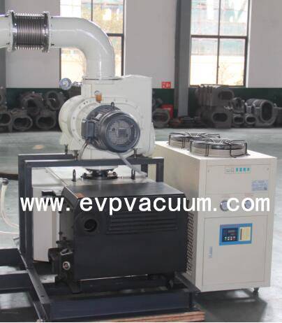 Roots Rotary Vane Vacuum System