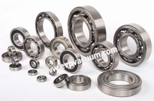 Roots vacuum pump bearings