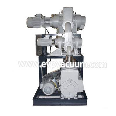 Rotary vane vacuum pump + roots pump