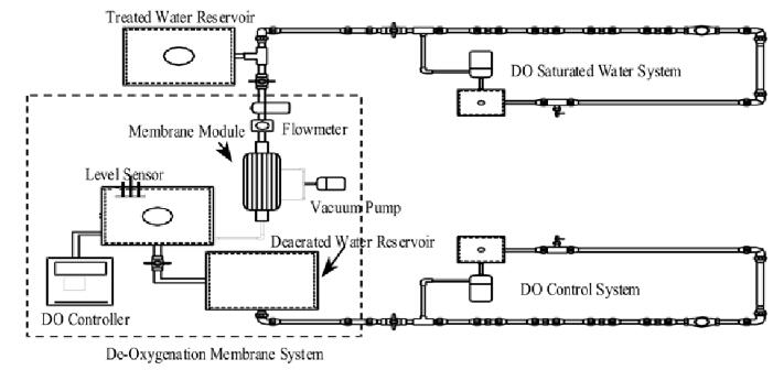 de-oxygen membrane system