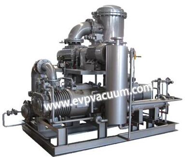 oil-free vacuum pump system