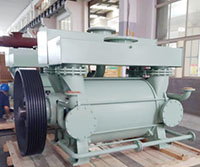 Vacuum pump in Steel degassing