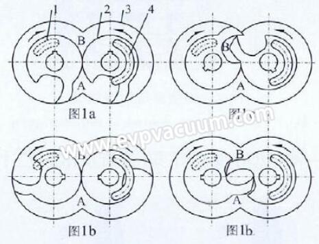 single stage claw pump