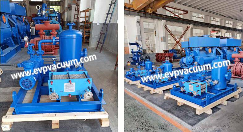 Application of water ring pump unit in vacuum plant essential oil extraction