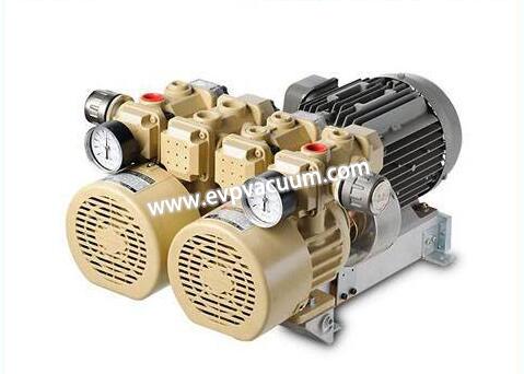 Oil-free rotary vane vacuum pumps