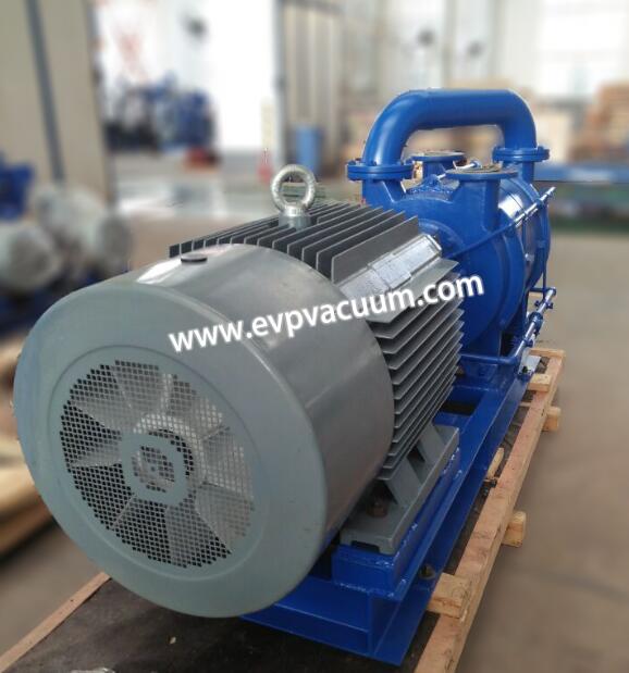 DLV liquid ring vacuum pump