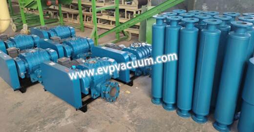 What type of Roots blower is used feed industry