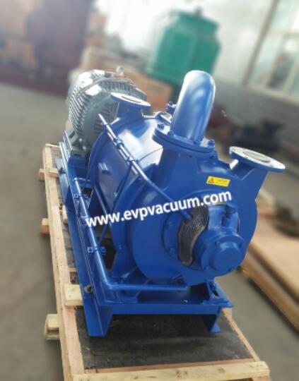 liquid ring vacuum pump