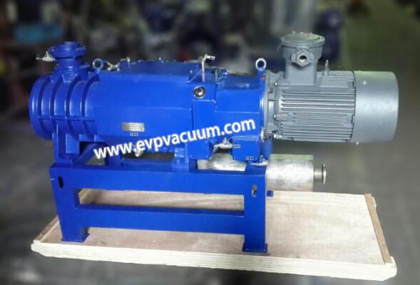 dry vacuum pump