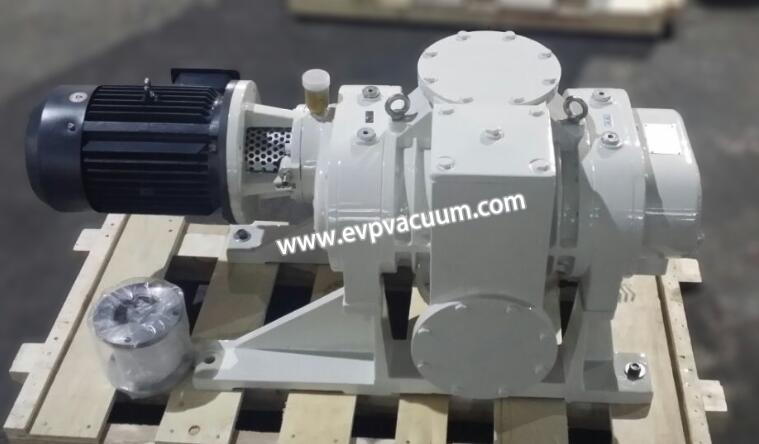 Roots vacuum pump