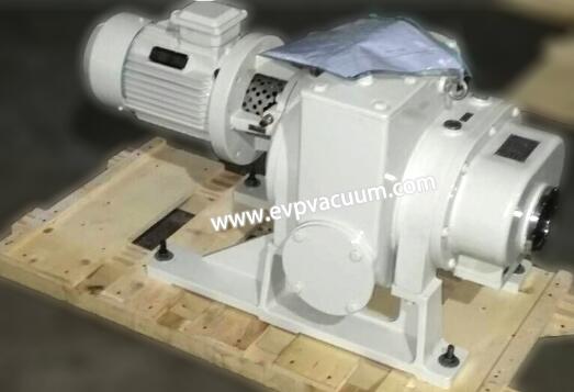 Roots vacuum pumps