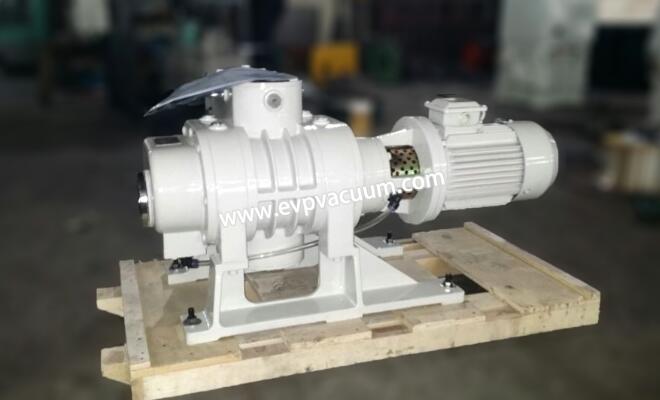 Roots vacuum pump