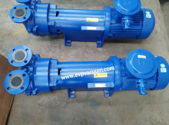 Liquid ring vacuum pump