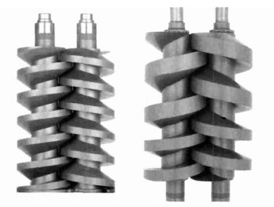 Screw vacuum pump of structure