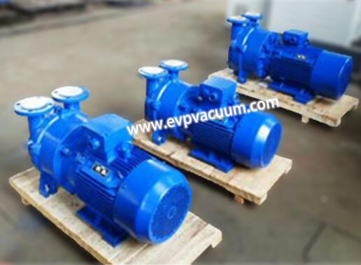 Liquid ring vacuum pump