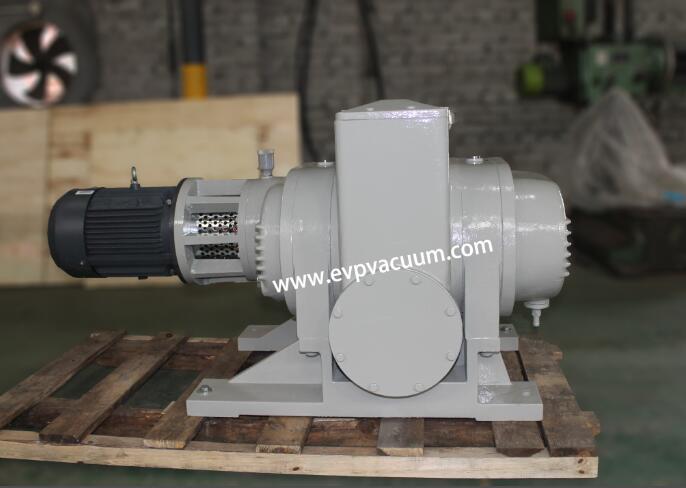 Roots vacuum pumps