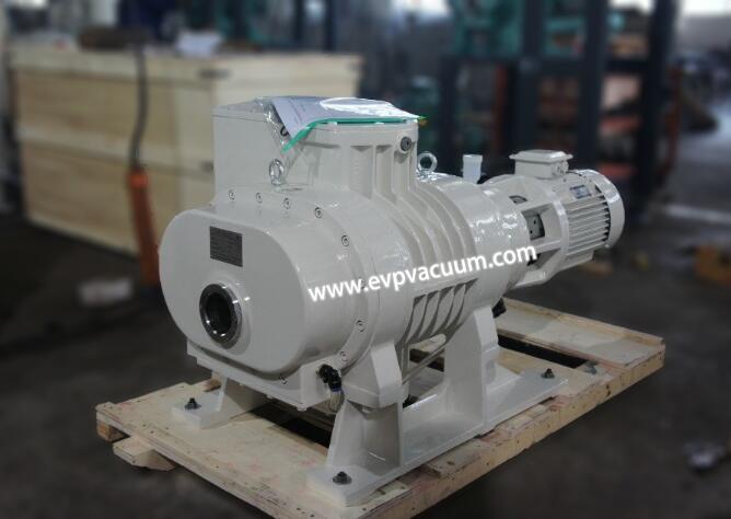 Roots vacuum pump