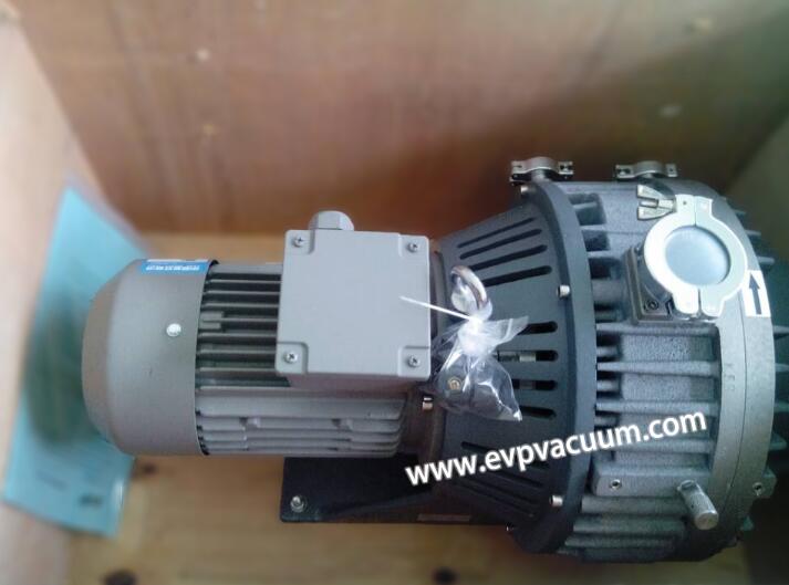 Dry vacuum pump for precautions