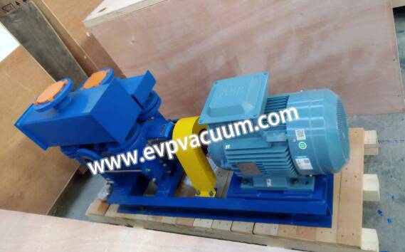 Liquid ring vacuum pump used in liquid degassing applications