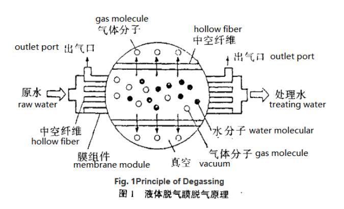 Principle of Degassing