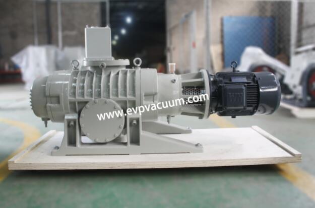 Roots vacuum pump structure