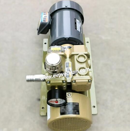 Oil free rotary vane vacuum pump