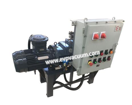 Dry screw pump