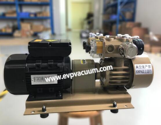 Single stage oil-free vacuum pump