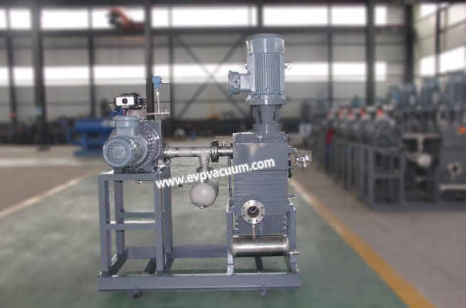 dry vacuum pump unit