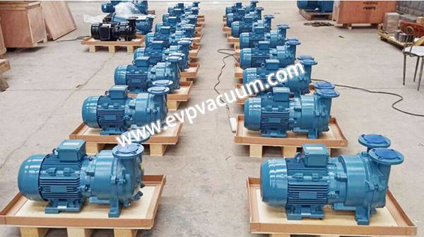 2BV series vacuum pump