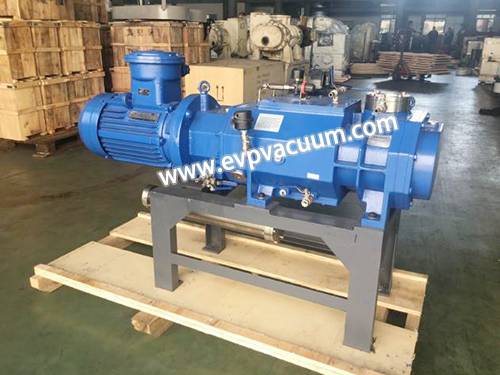 Dry screw vacuum pump