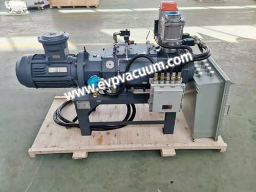 Dry screw vacuum pumps