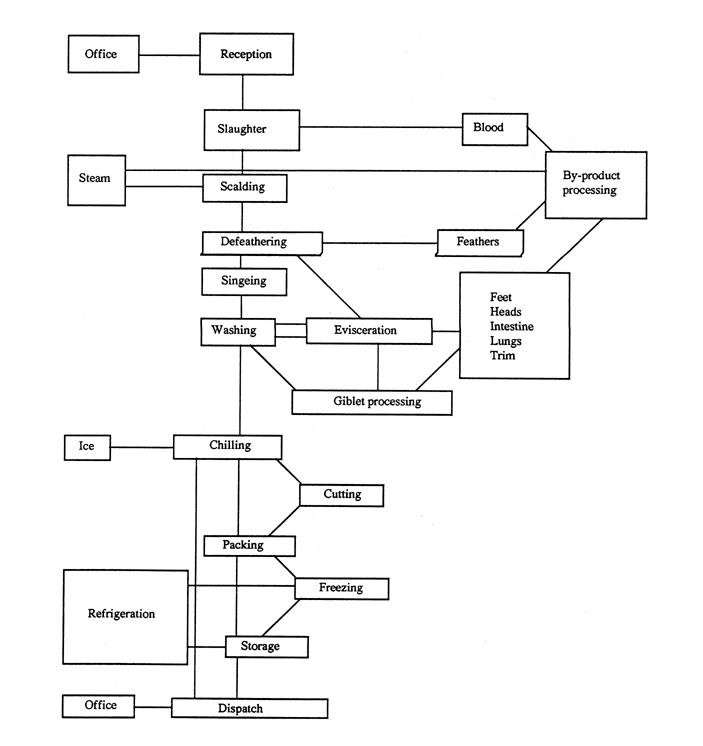 Poultry Processing Flow Diagram