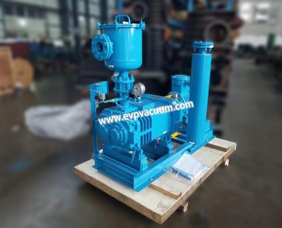 Screw vacuum pump