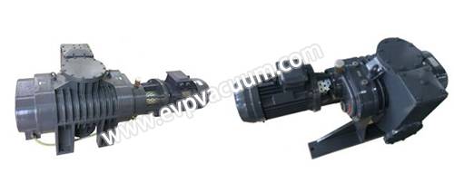 ZJP roots vacuum pump