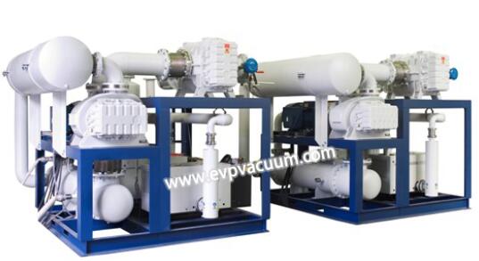 Vacuum system for secondary degassing process of molten steel