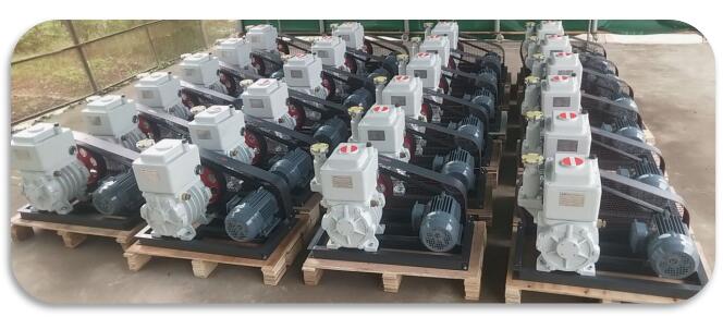 2x-a rotary vane vacuum pump