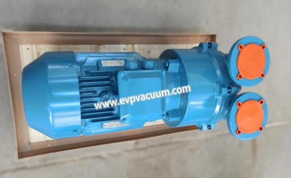 Liquid ring vacuum pump