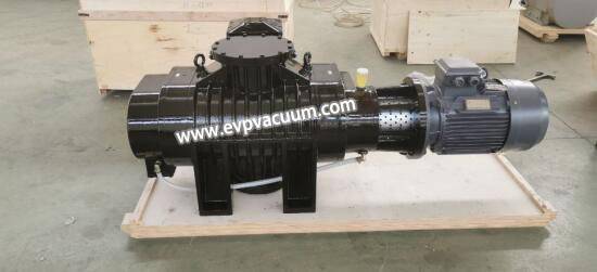 Roots vacuum pump design