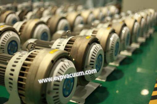 dry scroll vacuum pump