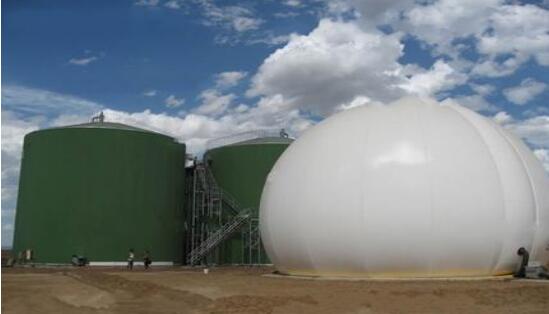 biogas circulation